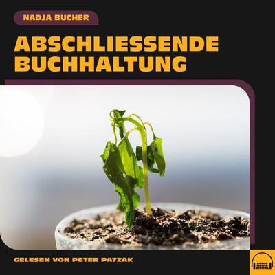 Abschließende Buchhaltung - Nadja Bucher, Audio, 9783991571278