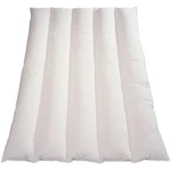 Blanreve, Decke, Stedecke Leichtgewicht Mikrofaser 200 g/m2 240 x 260 cm (240 x 260 cm)