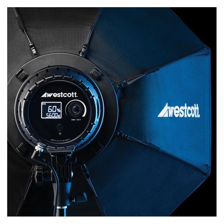 Westcott U60-B Bi-Color LED 2-Light Softbox Kit (Videoleuchte) (804-A)