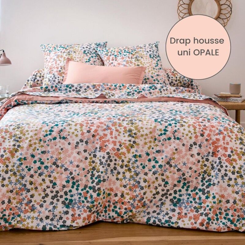 Drap housse percale Tradilinge uni OPALE (Lolita Opale) (Couleur : Opale)