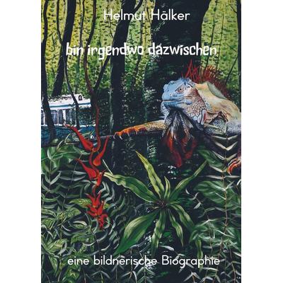 bin irgendwo dazwischen, Taschenbuch von Helmut Hälker, Bookmundo Direct, 978-94-6367-163-7