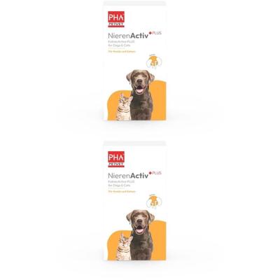 PHA NierenActiv plus Pulver f.Katzen 2x 2x60 g