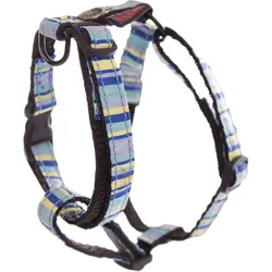 Martin Sellier Reg Beach (Hund, Allgemein, Spazieren), Halsband + Leine