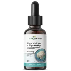 VitaSanum® Lion's Mane + Alpha-GPC Liquid – 3 ml Tagesportion