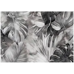 FOTOTAPETE Monstera Blätter Schwarz Weiß 400x280