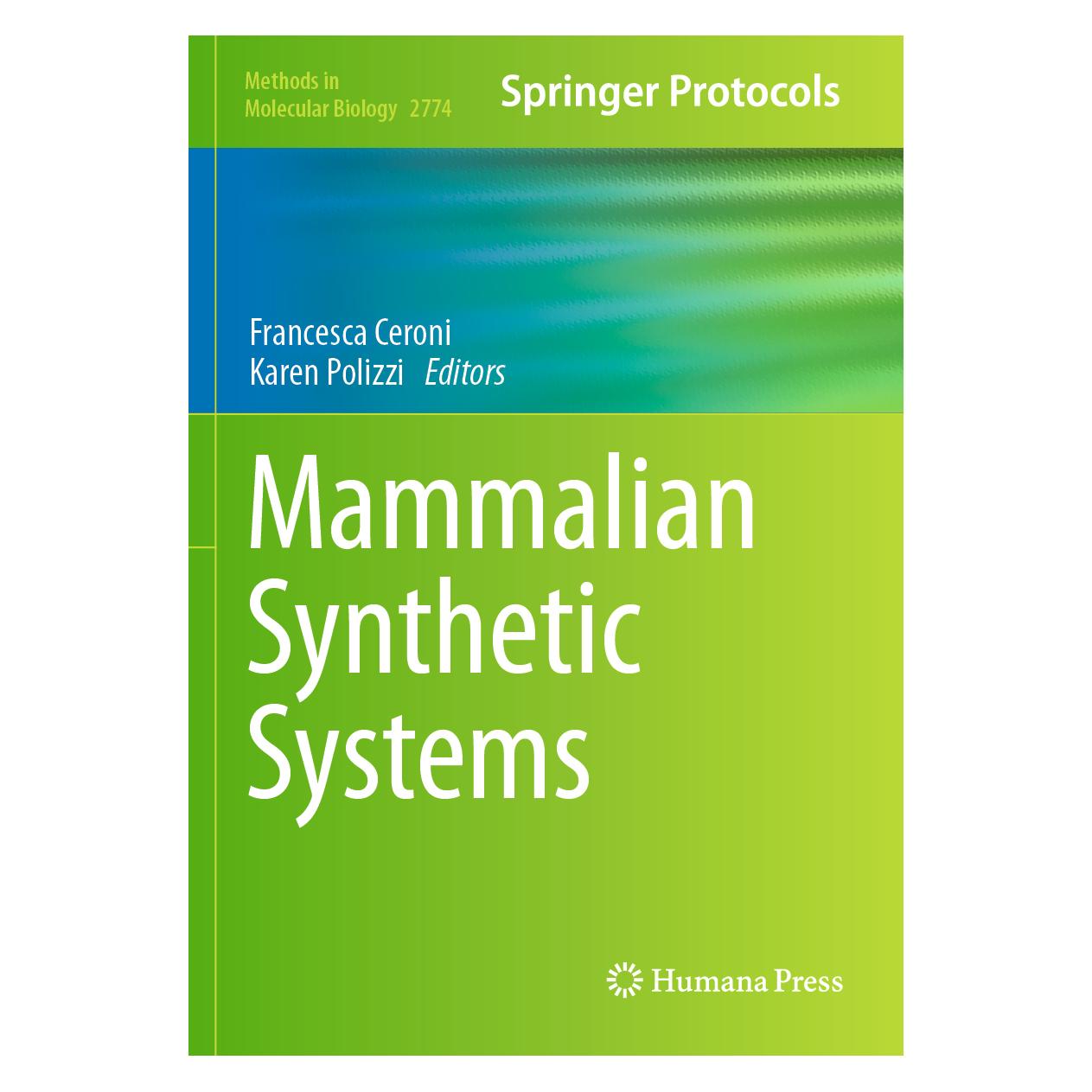 Springer Mammalian Synthetic Systems (Englisch, Softcover) (64907750)