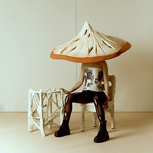 Pomme - Consolation [Vinyl LP] - Preis vom 11.10.2026 03:10:56 h