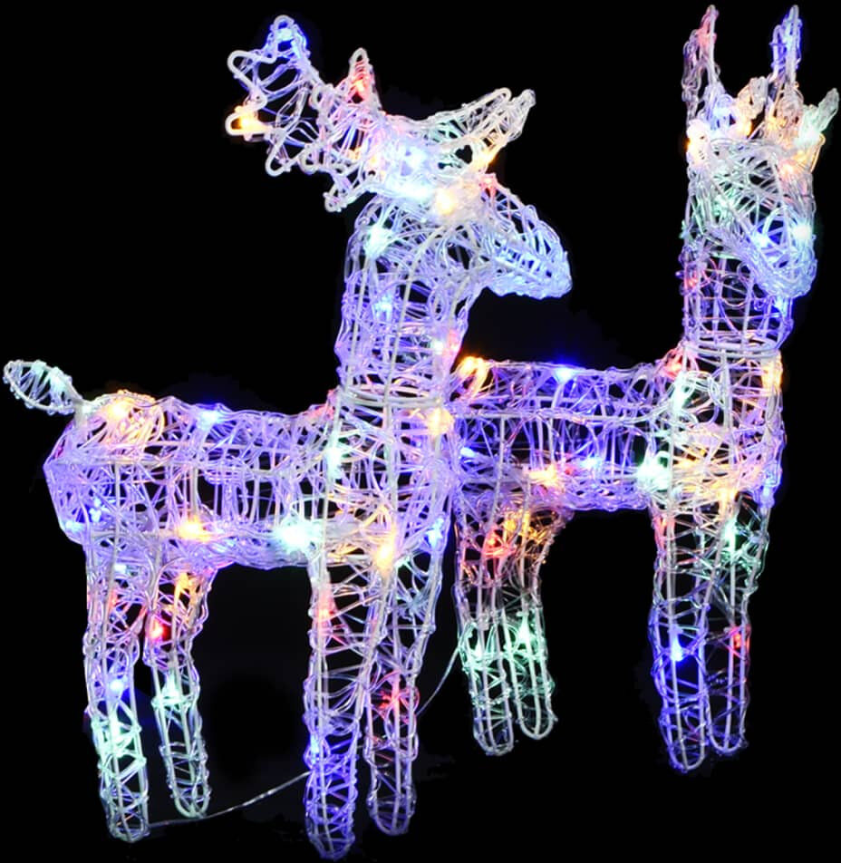 The Seasonal Aisle Indoor / Outdoor Holiday Lighting Multicolour 55cm H X 21.59cm D