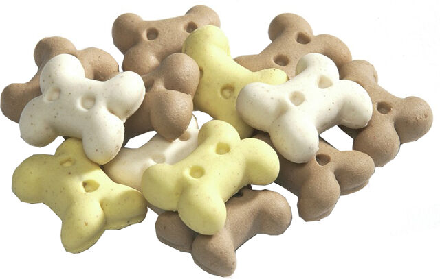 Camon Biscotto Minibones 300 G