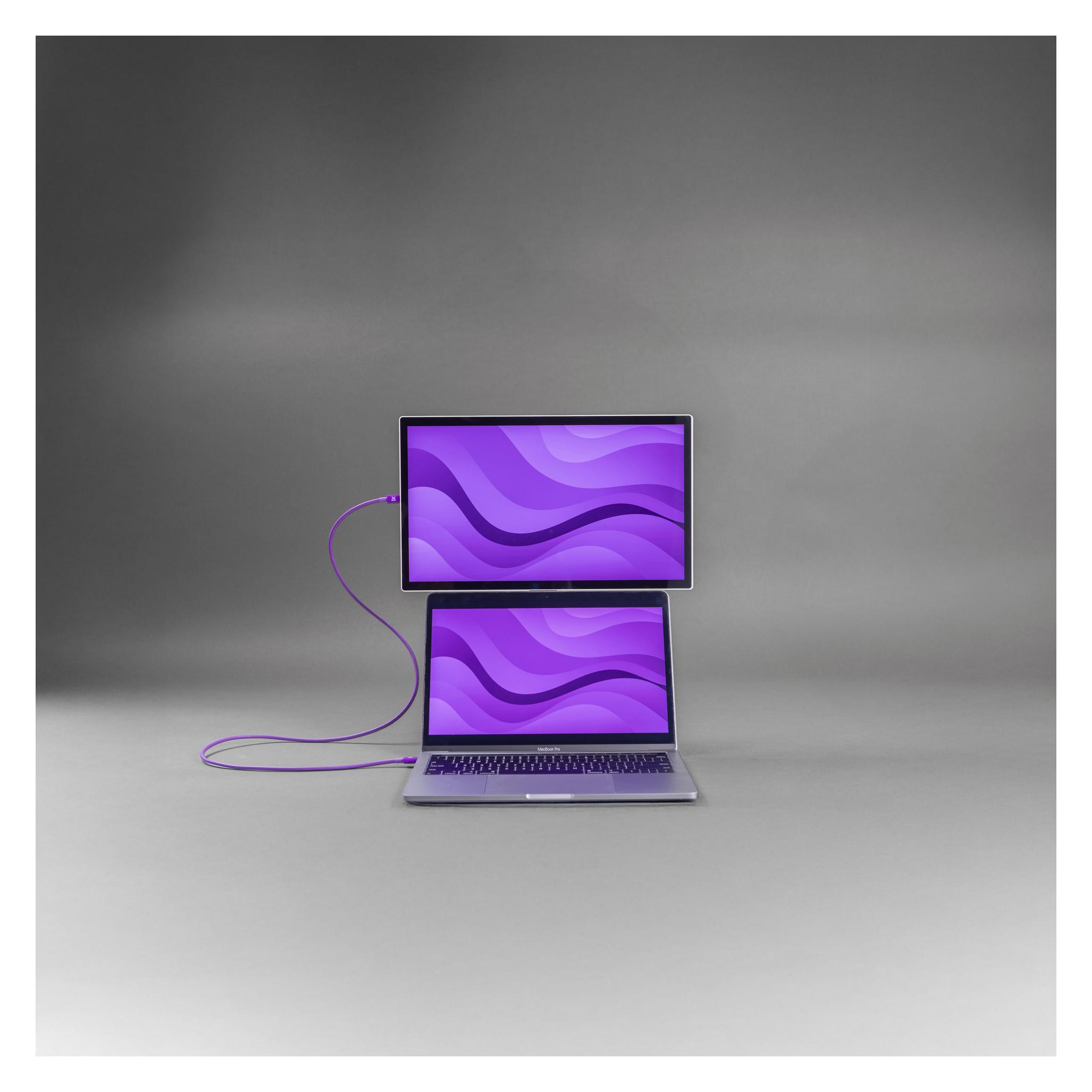 Espresso Displays 15 Lite (1920 x 1080 Pixel, 15.60") (900-00060)