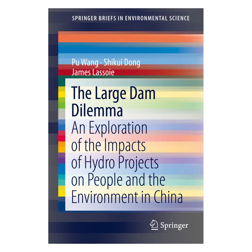 Springer The Large Dam Dilemma (Englisch, Softcover, James Lassoie, Pu Wang, Shikui Dong) (55526683)