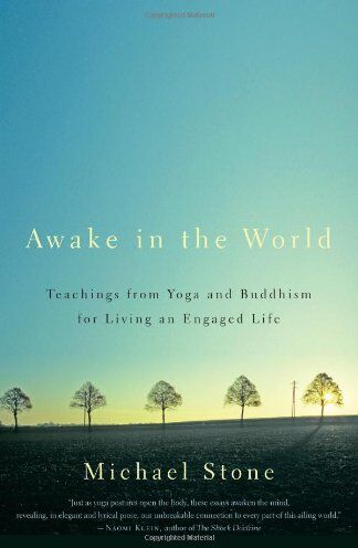Michael Stone - Awake in the World: Teachings from Yoga and Buddhism for Living an Engaged Life - Preis vom 09.10.2026 07:28:09 h