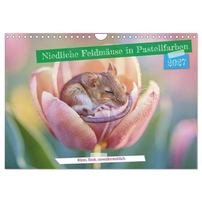 Niedliche Feldmäuse in Pastellfarben (Wandkalender 2027 DIN A4 quer), CALVENDO Monatskalender