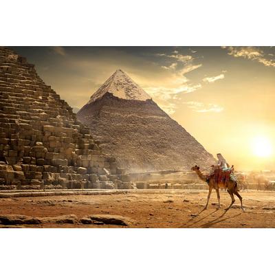 Fototapete PAPERMOON "Kamel vor Pyramiden", bunt, B:2,5m L:1,86m, Vlies, Tapeten