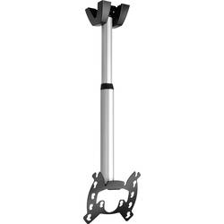 VOGEL'S Vogels PFC 585 TV-Deckenhalterung 48,3 cm (19) - 106,7 cm (42) Neigbar, Schwenkbar 7305854