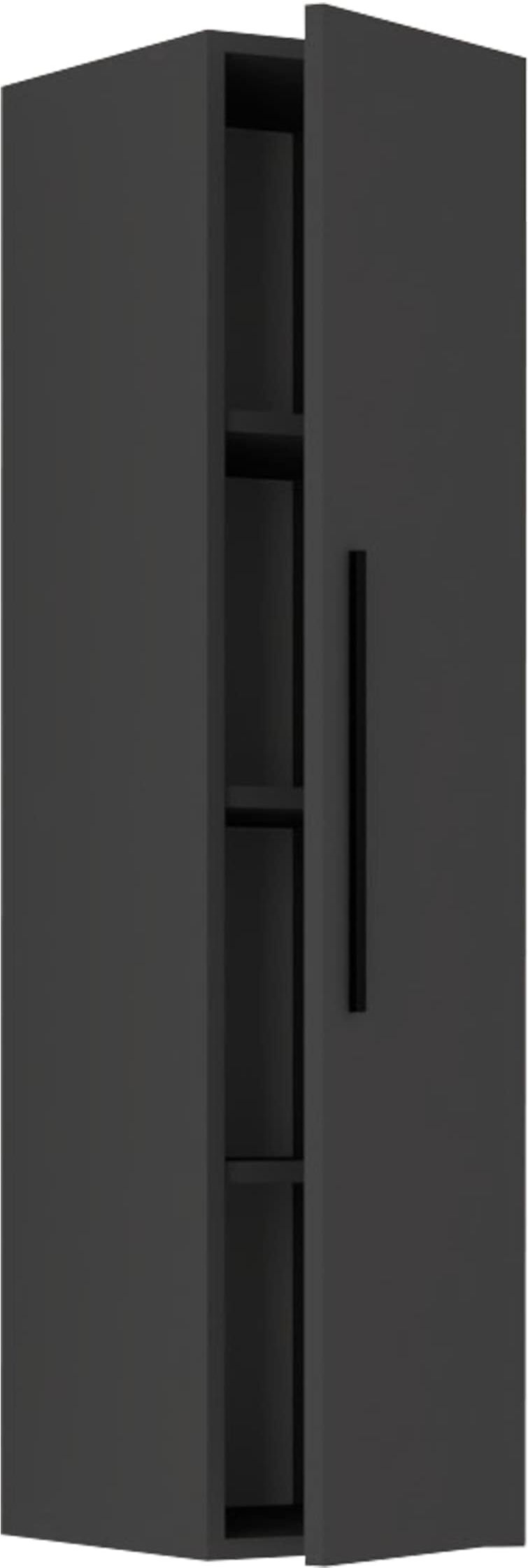 Wandregal VCM "Holz Wandregal Wandschrank Klappschrank Arila XL", schwarz (anthrazit), B:30cm T:30cm, Regale, Wandregal