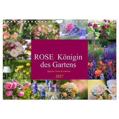 Rose Königin des Gartens (Wandkalender 2027 DIN A4 quer), CALVENDO Monatskalender