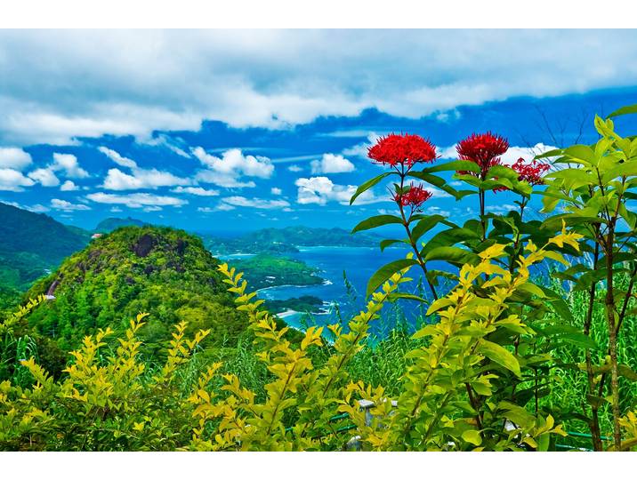 Papermoon INSEL-SEYCHELLEN BLUMEN KÜSTE GEBIRGE MEER PANORAMA