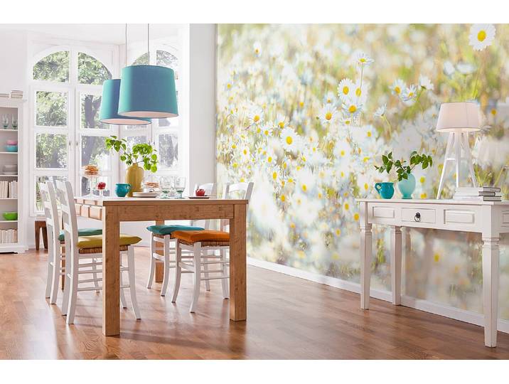 Papier peint Daisies 368 x 254 x 0cm