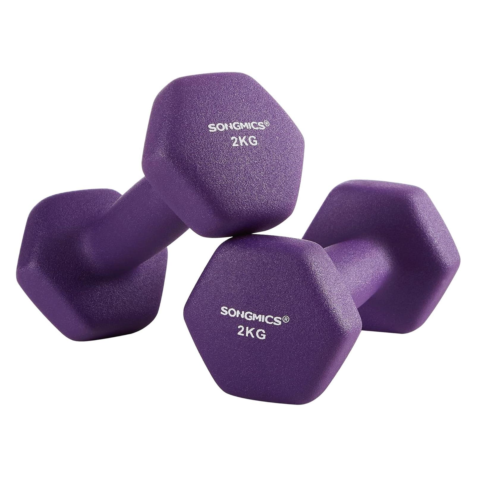 Songmics Hanteln 2x2kg Neopren Violett Gusseisen (2 x 2 kg) (SYL64PL)