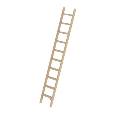 PROREGAL Stufen-Anlegeleiter Holz ohne Traverse 10 Stufen