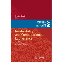 Irreducibility and Computational Equivalence, Fachbücher
