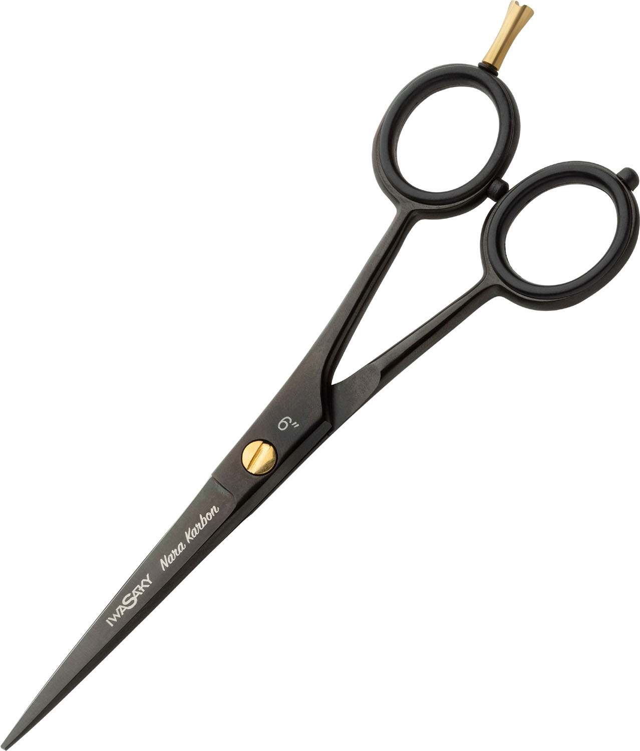 XanitaliaPro Iwasaki Nara Karbon 6" in Schwarz XP-370.862