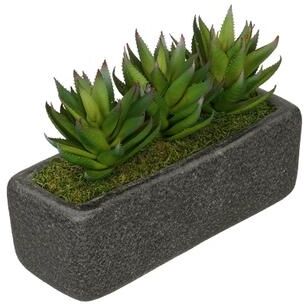 House of Silk Flowers Faux Green Aloe Garden in Black Sandy-Texture Ceramic Vase