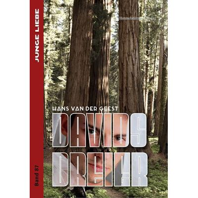 Davids Dreier, Taschenbuch von Hans van der Geest, Himmelstürmer, 978-3-86361-726-4