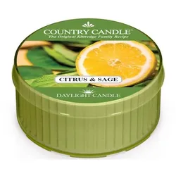 Citrus & Sage Daylight 42g