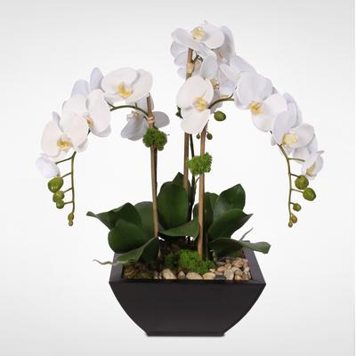 Jenny Silks Real Touch White Phalaenopsis Orchid & Succulents in a Metal Pot