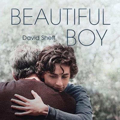 Beautiful Boy - David Sheff, Audio, 9789464300888
