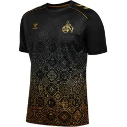 hummel 1. FC Köln Dom-Aufwärmshirt 2025/26 2001 - black 5XL