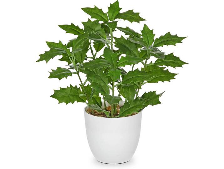 Kunstpflanze Ficus 25 cm, Grün, Kunststoff, 25 cm, Dekoration, Blumen & Blumentöpfe, Kunstpflanzen