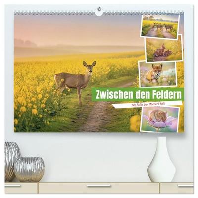 Zwischen den Feldern (hochwertiger Premium Wandkalender 2027 DIN A2 quer), Kunstdruck in Hochglanz