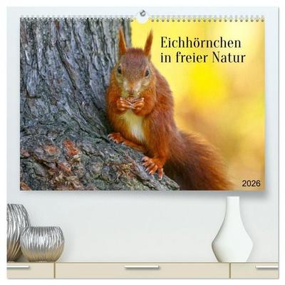 Eichhörnchen in freier Natur (hochwertiger Premium Wandkalender 2026 DIN A2 quer), Kunstdruck in Hochglanz