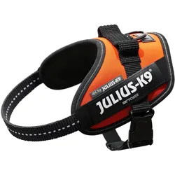 Julius-K9 IDC Powergeschirr (XS, Hund, Allgemein, Hundesport), Halsband + Leine