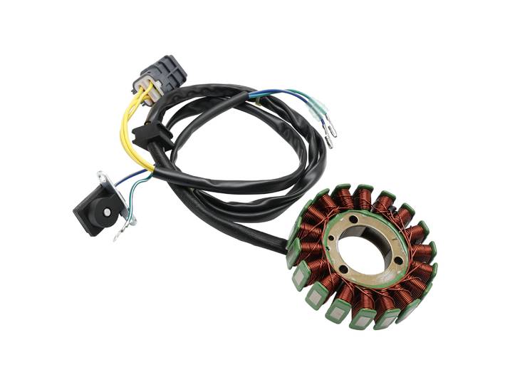 Topteng STATOR magnéto pour TRITON BAJA 250 300 400 ACC-31120-E10-000 ACC-31120-E10-100 31120-E10-101