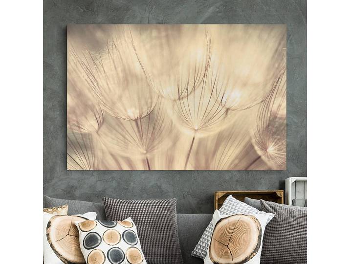 Impression sur toile Pissenlit III Lin Beige 90cm