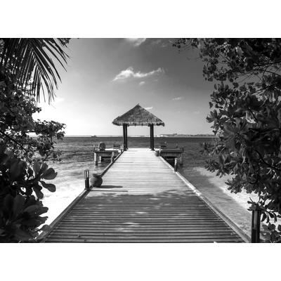 Fototapete PAPERMOON "Steg am Strand Schwarz & Weiß", schwarz (schwarz, weiß), B:3,5m L:2,6m, Vlies, Tapeten