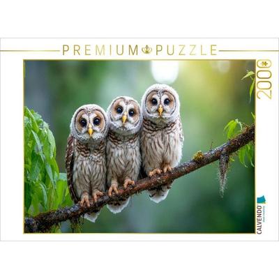 CALVENDO Puzzle Drei kleine Käuzchen auf dem Ast | 2000 Teile Lege-Größe 90x67cm Foto-Puzzle für glückliche Stunden, Sonstige von , Calvendo Puzzle