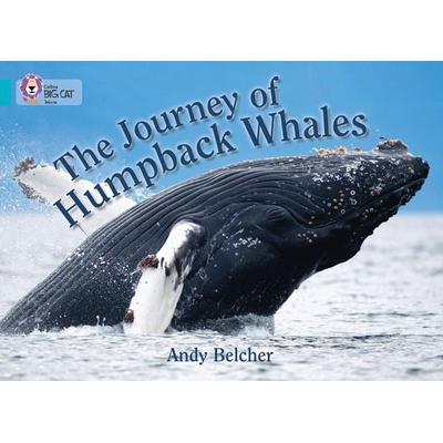 The Journey of Humpback Whales, Taschenbuch von Andy Belcher, Collins Reference, 978-0-00-746182-0