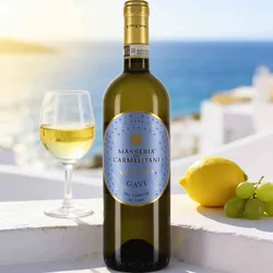 Vite Colte 2024 Vite Colte Gavi del Comune di Gavi Masseria dei Carmelitani 2024 Cortese Italien