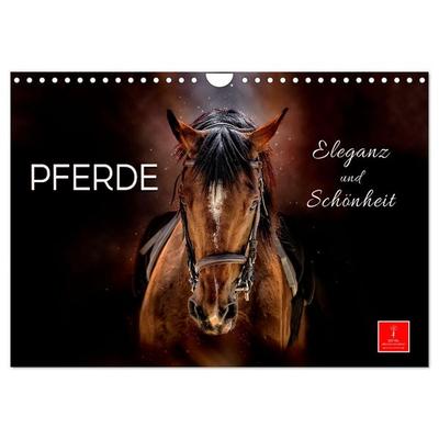Eleganz und Schönheit - Pferde (Wandkalender 2026 DIN A4 quer), CALVENDO Monatskalender