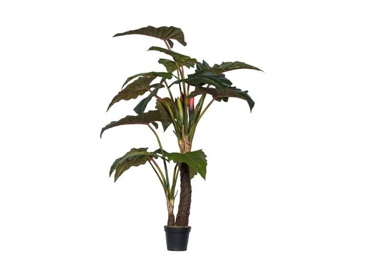 Lebensechte XL Kunstpflanze „Alocasia verzweigt“, Ø 140 x 220 cm Grün Baq Design