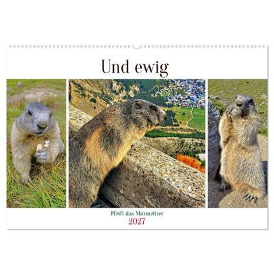 Und ewig pfeift das Murmeltier (Wandkalender 2027 DIN A2 quer), CALVENDO Monatskalender