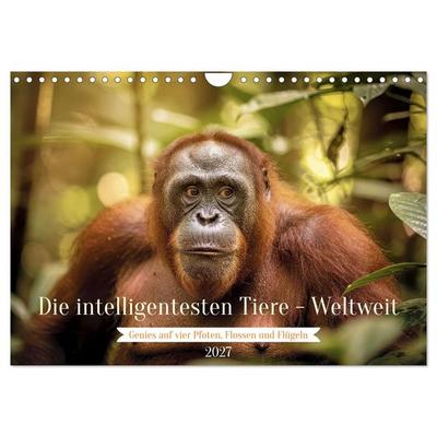 Die intelligentesten Tiere - Weltweit (Wandkalender 2027 DIN A4 quer), CALVENDO Monatskalender