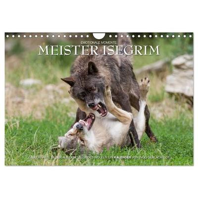 Meister Isegrim (Wandkalender 2027 DIN A4 quer), CALVENDO Monatskalender
