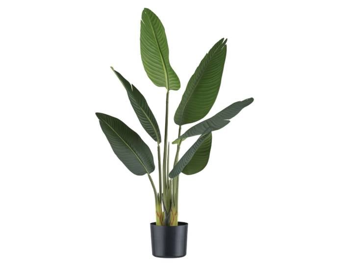 Kunstpflanzen Strelitzia / H: 90 cm Gasper