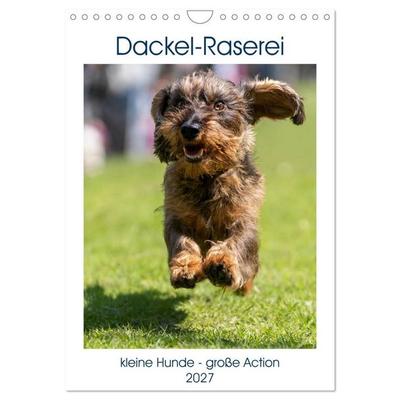Dackel-Raserei (Wandkalender 2027 DIN A4 hoch), CALVENDO Monatskalender